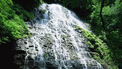 高端先进数字化